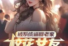 被系统逼回老家,校花女友追来了免费阅读(萧川)小说免费读最新章节-火箭文学