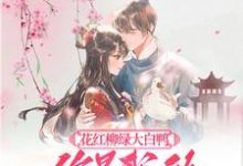 花红柳绿大白鸭，你是我的最爱呀免费阅读(丁离柳三)小说免费读最新章节-火箭文学