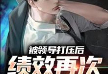 被领导打压后，绩效再次被清零！（孙平安林若薇）最新章节免费在线阅读-火箭文学