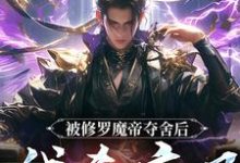完结版被修罗魔帝夺舍后,我杀疯了在哪免费看,宋萧然小说在线阅读-火箭文学