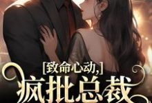 跪求主角是薄宴辞裴梨的小说书名叫什么-火箭文学