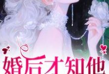 完结版婚后才知他一直暗恋我在哪免费看，沈织星苏遇小说在线阅读-火箭文学