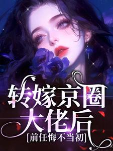 完结版转嫁京圈大佬后，前任悔不当初在哪免费看，苏婉禾司北琛小说在线阅读