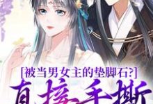 被当男女主的垫脚石?直接手撕剧本(主角云子娆墨苍澜)完结版免费阅读-火箭文学