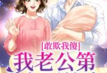 精彩章节阅读敢欺我傻？我老公第一个不答应(叶小珍谢林安)免费小说在线看-火箭文学