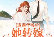 小说遭遇背叛后，她转嫁大佬赢麻了主角叶千纯陆瑾川免费阅读-火箭文学
