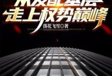 完结版官梯：从发配基层走上权势巅峰在哪免费看，杨飞方婷小说在线阅读-火箭文学