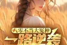 主角是许白的小说八零不当大冤种，一路逆袭你急啥在哪免费看-火箭文学