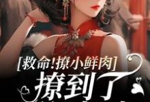 救命！撩小鲜肉撩到了顶级权贵！完结版李善免费阅读大结局-火箭文学