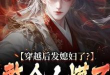 主角是萧辰的小说穿越后发媳妇了？整个人懵了在哪免费看-火箭文学