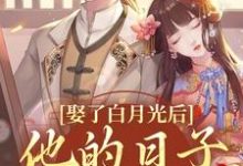 娶了白月光后,他的日子鸡飞狗跳精彩章节阅读(盛栖月萧玉衡)免费阅读大结局-火箭文学