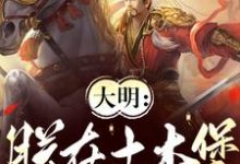 主人公是朱祁镇的小说大明：朕在土木堡杀疯了免费阅读-火箭文学