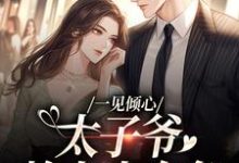 求助这本一见倾心:太子爷赖上小白兔小说在哪里可以看完结版-火箭文学