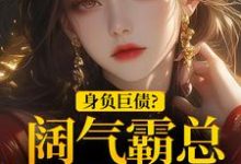 跪求主角是苏屹杉郁寒铮的小说书名叫什么-火箭文学