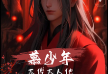 慕少年：太傅大人他风华绝代（宁绝安崇邺）完结版免费阅读-火箭文学