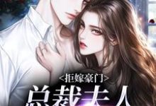 小说拒嫁豪门，总裁夫人带球跑主角时今棠萧京野免费阅读-火箭文学