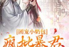 跪求主角是萧璟月萧永乾的小说书名叫什么-火箭文学