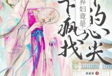 侯府弃妇竟是陛下疯找十年的心尖(洛知槿陆淮)最新章节在线阅读-火箭文学