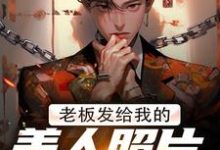 林江宇在线阅读,老板发给我的美人照片是老板娘小说完结版章节-火箭文学