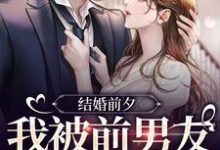 小说结婚前夕，我被前男友带走了主角薄寒深曲南枝免费阅读-火箭文学