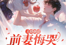 李沐风最新章节天降倒追，前妻悔哭求复合免费阅读-火箭文学