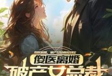 傻医离婚,破产女总裁捡到宝(杨路年兮兮)最新章节在线阅读-火箭文学