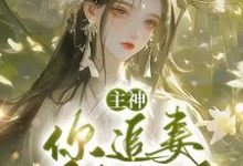 主神，你追妻又失败了？无弹窗夏溪苏礼最新章节列表-火箭文学