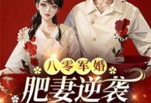 跪求主角是周琳琳严屹辰的小说书名叫什么-火箭文学