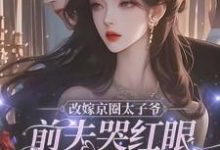改嫁京圈太子爷，前夫哭红眼求我别嫁（林江宇）最新章节免费在线阅读-火箭文学