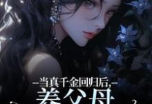 司音最新章节当真千金回归后，养父母要我嫁农夫免费阅读-火箭文学