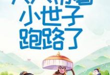 求助这本首辅大人不好了！夫人带着小世子跑路了小说在哪里可以看完结版-火箭文学