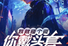 我就碰个瓷,你戴头套什么意思?完结版陆泽赵勇免费阅读大结局-火箭文学