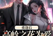 重逢后，高岭之花为爱变身追妻狂魔小说资源求分享，重逢后，高岭之花为爱变身追妻狂魔付闻洲程又青在线阅读-火箭文学