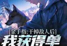 金手指:干掉敌人后我获得单兵技能书无弹窗张宪陈芸最新章节列表-火箭文学