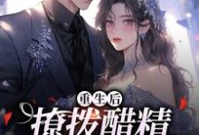 求助这本重生后，撩拨醋精小男友小说在哪里可以看完结版-火箭文学