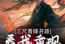 三尺青锋开路，看我重现家族荣耀（叶凌天武明月）最新章节免费阅读-火箭文学