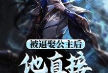 主人公是王修苏晚晴的小说被逼娶公主后，他直接坐了皇位免费阅读-火箭文学