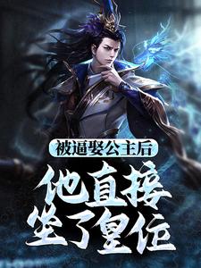 主人公是王修苏晚晴的小说被逼娶公主后，他直接坐了皇位免费阅读