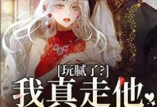 主人公是阮柠贺宴川的小说玩腻了？我真走他又不高兴免费阅读-火箭文学