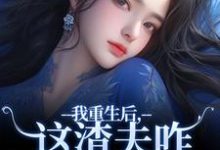 主角是林菀宁的小说我重生后，这渣夫咋还换人格了在哪免费看-火箭文学