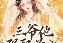 三爷他强娶为上无弹窗林知意最新章节列表-火箭文学