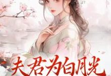 夫君为白月光守身如玉？我成全！免费阅读，宋絮晚季墨阳大结局无弹窗-火箭文学