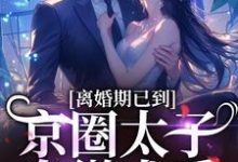 离婚期已到！京圈太子卑微求爱免费阅读(沈青瓷席星野)小说免费读最新章节-火箭文学