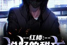 小说红楼：说好的甜文咋变恐怖文了主角齐洛免费阅读-火箭文学