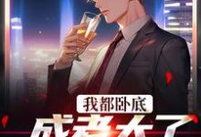 我都卧底成老大了，还不收网？无弹窗陆乘风周翰林最新章节列表-火箭文学