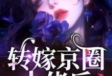 转嫁京圈大佬后，前任悔不当初免费阅读，苏婉禾司北琛大结局无弹窗-火箭文学