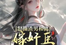 怒撕渣男和离，嫁奸臣高攀不起免费阅读，沈蕴之宋窈窈大结局无弹窗-火箭文学