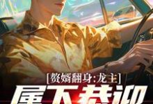 赘婿翻身:龙主,属下恭迎您归位精彩章节在线免费阅读(叶尘林含雪)-火箭文学