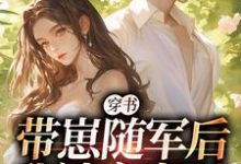 沈淮初陆云琛小说的结局在哪可以看，穿书：带崽随军后我被宠上天免费阅读完结版-火箭文学