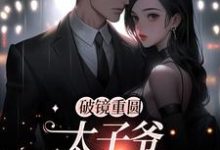 完结版破镜重圆：太子爷他太霸道在哪免费看，黎念靳宴深小说在线阅读-火箭文学